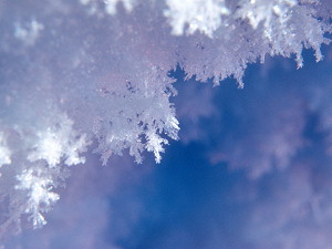 Ice crystals