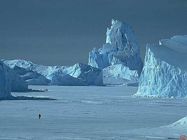 [TopIceberg.jpg]
OK, this is probably my most requested picture ever, the original slide being now scratched beyond repair. We were on our way to climb that massive pile of ice, and climb it we did, even if it took a lot longer and was a lot harder than expected.