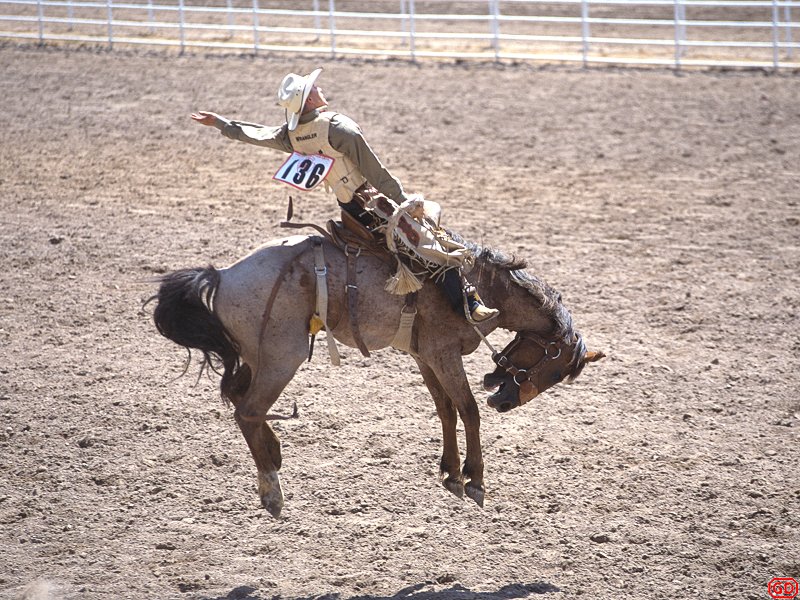 RodeoHorseJump.jpg