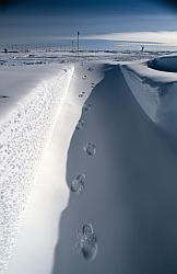 DC025 - Snow trench in Dome C