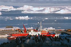 AstrolabeBelowPenguins - Adelie penguins and the Astrolabe moored to the airstrip, Dumont d'Urville, Antarctica