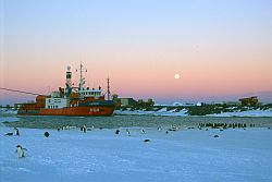 AstrolabeNight - The Astrolabe at bay in Dumont d'Urville, Antarctica