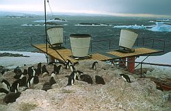 DdU_Sodar - Sodar antenna in a katabatic storm, with penguins, Antarctica