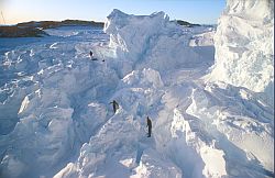 GlacierFrictionArea2 - Friction area in the Astrolabe glacier, Antarctica