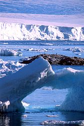 IceFloating - Various floating ice with Antarctic continent in the background
