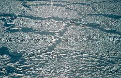 IcePancakesMerge - Merging ice pancakes, Antarctica