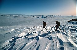 IceRunning - Running down the Astrolabe glacier, Antarctica