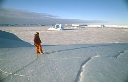 IcebergSummit - Standing on iceberg summit, Antarctica