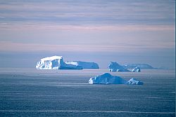 IcebergVarious - Icebergs, Antarctica