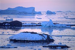 IcedIsland - Icebergs floating ice and small islands, Antarctica