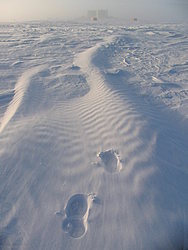 20050913_003_FarSnow_ - Dune-like snowdrift away from Concordia.
[ Click to go to the page where that image comes from ]