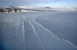 BTN-SeaIceAirStrip1 - The airstrip build on the sea-ice of Terra Nova bay, shortly before its disapearance.
[ Click to go to the page where that image comes from ]