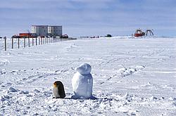 DomeC-Penguins - Stuffed penguin and snow penguin at Dome C.