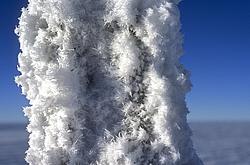 IceCrystals1 - Ice crystals deposited on a rope outside.
[ Click to go to the page where that image comes from ]