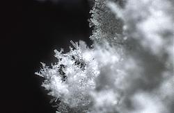 SnowCrystals2 - Surface snow crystals.
[ Click to go to the page where that image comes from ]