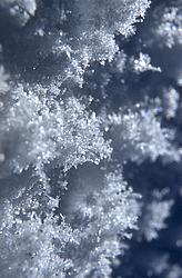 SnowCrystals4 - More snow crystals.
[ Click to go to the page where that image comes from ]