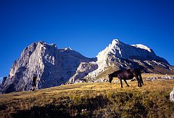 ArapietraHorse - Horses at Arapietra, Paretone, Gran Sasso, Central Italy