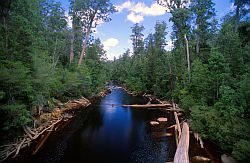 DarkRiver - Tanic river in Tasmania