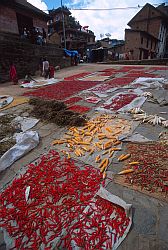 DryingVegies - Drying red chilli peppers, Nepal 2000
[ Click to go to the page where that image comes from ]