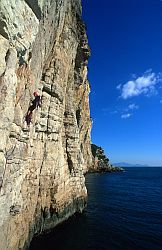 GaetaTraverso - Sea climbing in Gaeta, central Italy
[ Click to go to the page where that image comes from ]