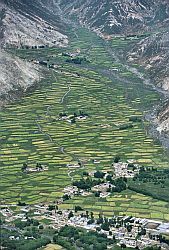 RiceFields - Terrace rice fields, Tibet, 2000