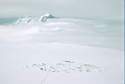 WhiteCamp - Plateau camp on McKinley, Alaska 1995