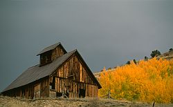 Barn - Autumn barn, Colorado
[ Click to download the free wallpaper version of this image ]