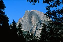 HalfDomeBetweenTrees - Half Dome between trees. Yosemite, California, 2003
[ Click to go to the page where that image comes from ]