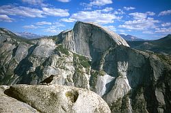 HalfDomeCrow - Crow in from of Half dome. Yosemite, California, 2003
[ Click to download the free wallpaper version of this image ]