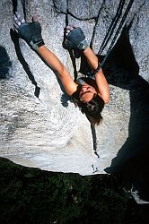 MobyDickRoof - Jenny on the roof of Moby Dick (Base of El Cap). Yosemite, California, 2003
[ Click to go to the page where that image comes from ]