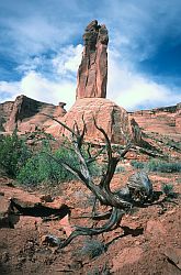 3GossipsSide - 3 gossips, Arches NP, Moab, Utah