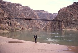 ColodaroBeach - Beach down the Grand Canyon of Colorado
[ Click to go to the page where that image comes from ]