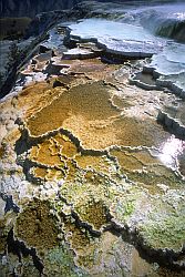 ColorSpring - Rainbow spring, Yellowstone NP, Wyoming
