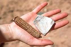 CornPottery - Anasazie artifacts, Grand Gulch, Utah
[ Click to go to the page where that image comes from ]