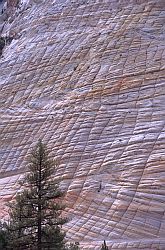ErodedRock - Naturally carved rock, Zion, Utah, 2003
[ Click to go to the page where that image comes from ]