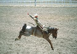 RodeoHorseBack - Horse riding, rodeo in Cheyenne, Wyoming
[ Click to go to the page where that image comes from ]