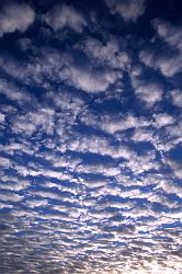 SheepClouds - Sheep-like clouds, Utah, 2003
[ Click to go to the page where that image comes from ]