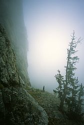 TetonFog - Grand Teton in the fog, Wyoming
[ Click to go to the page where that image comes from ]