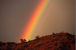 UtahRainbow - Strong rainbow, Moab, Utah
[ Click to download the free wallpaper version of this image ]