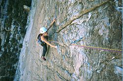 YellowBrickRoad - Yellow brick road, Black Velvet Canyon, Red Rocks, Nevada, 2002
[ Click to go to the page where that image comes from ]