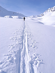 20060326_0010968_ColPegu_BackCountrySkiing - Backcountry skiing at the Pegu pass, Oisans.
[ Click to go to the page where that image comes from ]