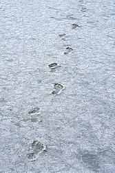 SaltLakeFootsteps - Footsteps on the salt lake, Arapiles, Oz.
[ Click to go to the page where that image comes from ]