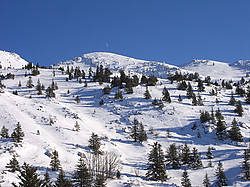 20071216-141102_PicStMichel - Peak St Michel, a classic Vercors ski-mountaineering summit.