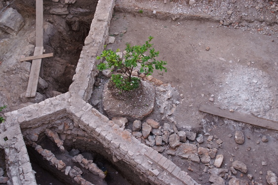 [20070829_185325_DubroWalls.jpg]
Isolated lemon tree left alone during an archaeological excavation in the old town.