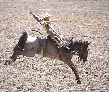 [RodeoHorseBack.jpg]
Saddled horse riding.