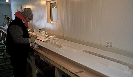 [IceCores.jpg]
A scientist cutting up and examining ice cores in the 'cold lab'.