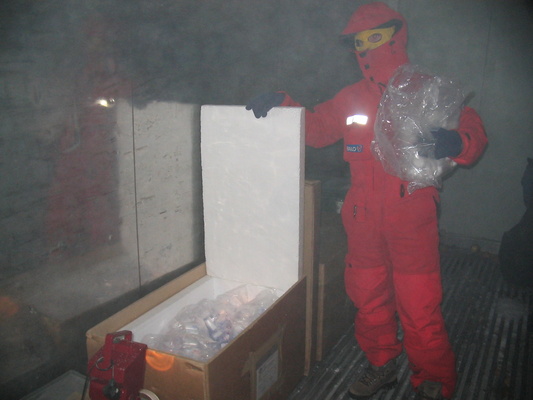 [20050709_001_GlacioSamples.jpg]
Putting the samples away in a frozen container, which will be brought back 'cold' to Europe for enhanced analysis.