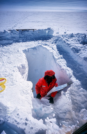 [SamplingCave.jpg]
A hole is dug to study surface layers. Another hole will be dug just next to it, leaving a thin wall of snow between both...