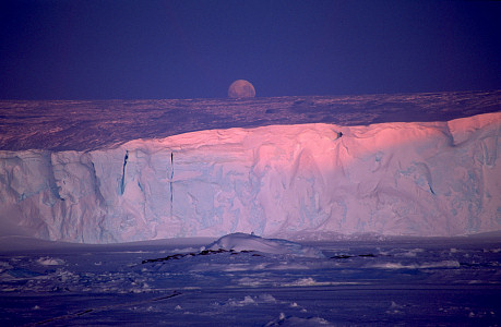 [GlacierMoon.jpg]
Prize-winning moonrise over the Astrolabe glacier, taken out of sheer luck: with some friends we were walking between the islands at sunset, and we saw the moon rise above the Astrolabe glacier, just as the last light of the sun was leaving the glacier. The glacier wall is about 50 meters high. Neat, eh ? In winter the low sun and the extremely pure and dry air combine to create astounding sunsets.