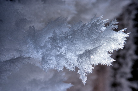 [IceCrystals3.jpg]
Some of the very delicate ice crystals to be found in the cave. If you as much as touch them, they dissolve into ice dust.